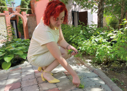 Как избавиться от сорняков между брусчаткой на садовых дорожках