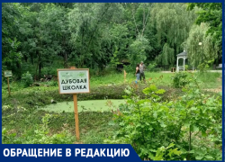 Замглавы Таганрога Долматов запретил…дубкам расти в “Дубках”