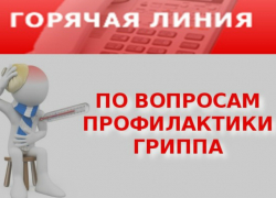 Таганрожцы могут обращаться на   "Горячую линию" по вопросам профилактики гриппа 