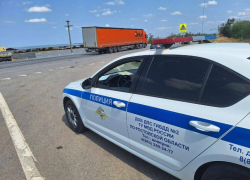 Таганрожцы стали меньше пить спиртного, но чаще нарушать ПДД