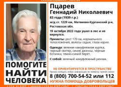В Матвеево-Курганском районе 83-летний пенсионер ушёл в лес и не вернулся