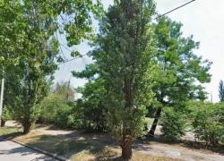 Таганрожец убил пожилую мать, расчленил и закопал в посадке