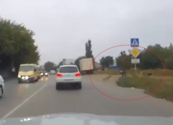 В Таганроге стая собак гналась за школьником