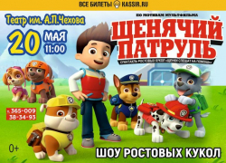 В преддверии лета отважные щенки спасут Таганрог 