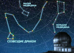 Таганрожцы смогут увидеть метеорный поток Дракониды