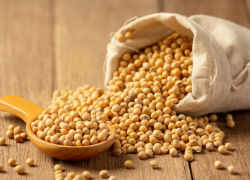 1000 тонн заражённой сои обнаружено на складе в Таганроге 