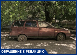 Бесхозная машина не даёт спилить сухое дерево, которое грозит покалечить таганрожцев