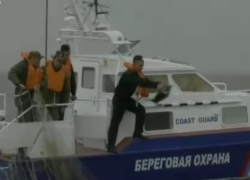 «Птичку жалко» стало суровым пограничникам в Таганрогском заливе