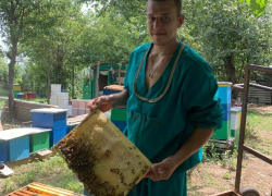 Мед круглый год: «СОТА» - пасека семьи Петчаниновых 