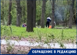 В обновлённой роще Таганрога старые привычки – снова жгут костры в Дубках