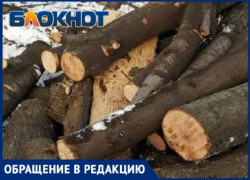 Вблизи Таганрога полным ходом идёт незаконная вырубка леса 