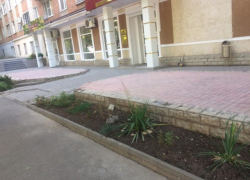 Один пылинки сдувает, другой  траву по пояс не видит - такие разные предприниматели Таганрога