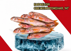 Товар дня: Барабуля свежемороженная за 499,90 ₽ / кг!