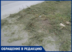 «Помяли и не убрали» - таганроженка показала, как косят траву в Таганроге