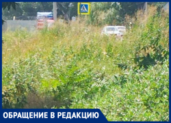 Тротуара пока не будет: власти Таганрога снова разочаровали жителей Мариупольского шоссе