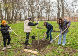 Долматов сажает деревья, а Григорян побеждает в шахматы: весна в кабинетах таганрогских чиновников