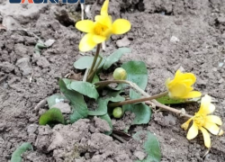 Весна в Таганроге: прогноз погоды