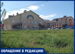 Сад, который построил губернатор, весь погряз в сорной траве