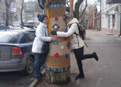 «Райские кущи» сделали активисты в центре Таганрога