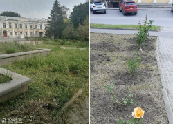  После публикации «Блокнот Таганрог» привели в порядок клумбы у памятника Чехову