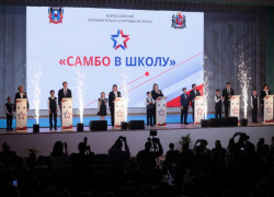 В Ростовской области расширяется проект «Самбо в школу»