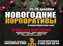 Новогодняя перезагрузка от термального комплекса GREENWICH-PARK*