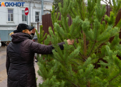 Цены на новогодние елки ударят по карманам таганрожцев