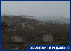 Жители Таганрога раскритиковали главу А.Лисицкого за слова о благополучии на свалке