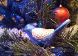 «Блокнот Таганрог» поздравляет всех с наступающим Новым годом!