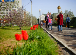 Время богослужений в храмах Таганрога и Неклиновского района в праздник Пасхи