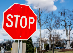 "По гульбищу в мокроступах": где таганрожцы больше не увидят иностранных слов - готовится закон на госуровне