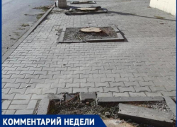 «46 деревьев удалят, 60 взамен высадят», - пообещала администрация Таганрога