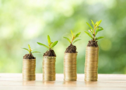 Четыре организации Таганрога победили в конкурсе грантов 