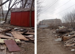 Глава администрации Таганрога назвал одну из причин стихийных свалок в городе