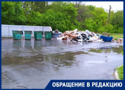 "Вывозят мусор все подряд": на ул. Маргелова образовалась стихийная свалка 