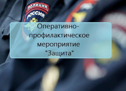 В Таганроге проводится оперативно-профилактическое мероприятие «Защита»