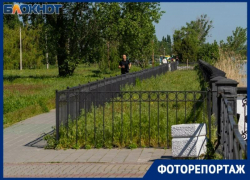 Реконструкция не началась, трава по пояс – что сейчас происходит на Пушкинской набережной Таганрога
