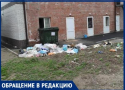 «Зачем мусор бросать в контейнер?» - решили таганрожцы, устроившие свалку возле бака