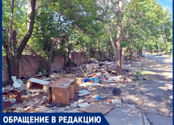 Таганрог утопает в мусоре взамен гаражей: кто ответит за хаос у школ и на улицах?