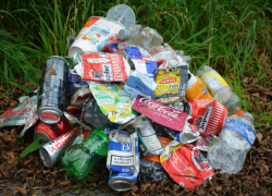 Мусор на даче жечь можно: ответ Роскачества для таганрожцев с загородными домами