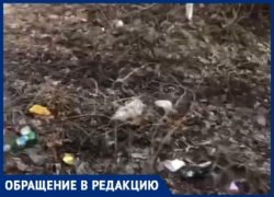 Сквозь залежи мусора пробираются таганрожцы к спортзалу «Скульптор»