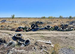 Для охоты на "серых возчиков" в Таганроге установили камеры