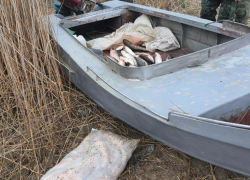 Устроили погоню: под Таганрогом задержали двух браконьеров 