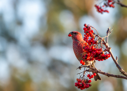 9 сентября: праздники, приметы и знаменитые события