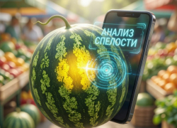 Арбузная нейронка: таганрожцам объяснили, как выбрать ягоду с помощью смартфона