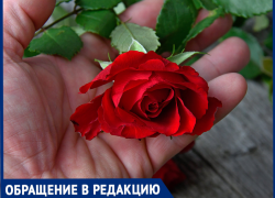 Ночной промысел: в Таганроге соседка разоряет чужие клумбы - попала на видеокамеру