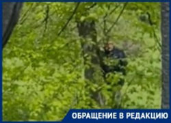 Обострение рукоблудов и эксгибиционистов начинается весной в Таганроге