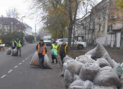 Деньги ушли на штрафы? Опавшую листву в Таганроге уберут не везде