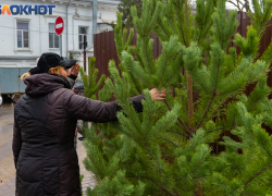 Что делать таганрожцам с елкой после Нового года?