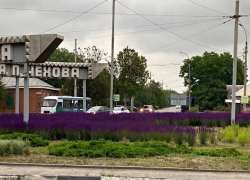 Таганрог цветущий и топ-5 самых приятных запахов для человека